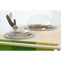 Aktivitetshjrne Flora