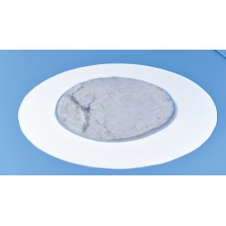 Legehjrne - Undervandsverden