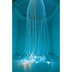 Sanserum til brn - Det hvide hus