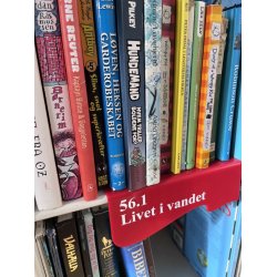 Skillesttte, blgeform u/'fod'