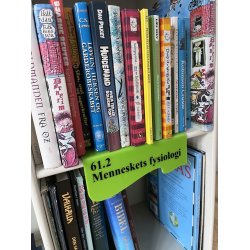 Skillesttte, blgeform u/'fod'