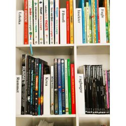 Smal skillesttte - vlg selv tekster