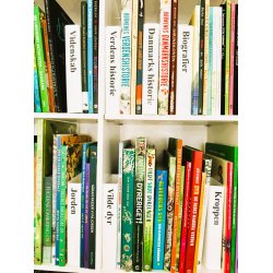 Smal skillesttte - vlg selv tekster