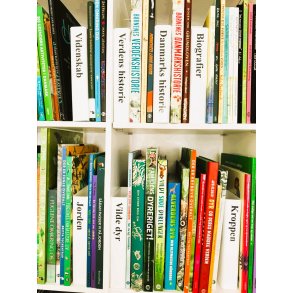 Smal skillesttte med faglitteratur, 95 stk.