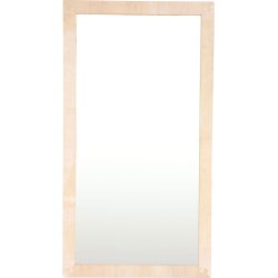 Applikationer til brnespejl