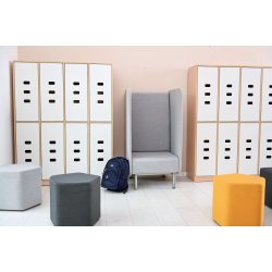 Inflamea 1 lnestol med hj ryg