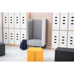 Inflamea 1 lnestol med hj ryg