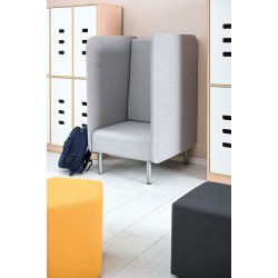 Inflamea 1 lnestol med hj ryg